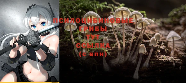 MESCALINE Алзамай