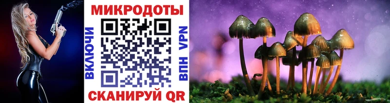 Галлюциногенные грибы Psilocybine cubensis  Сургут 