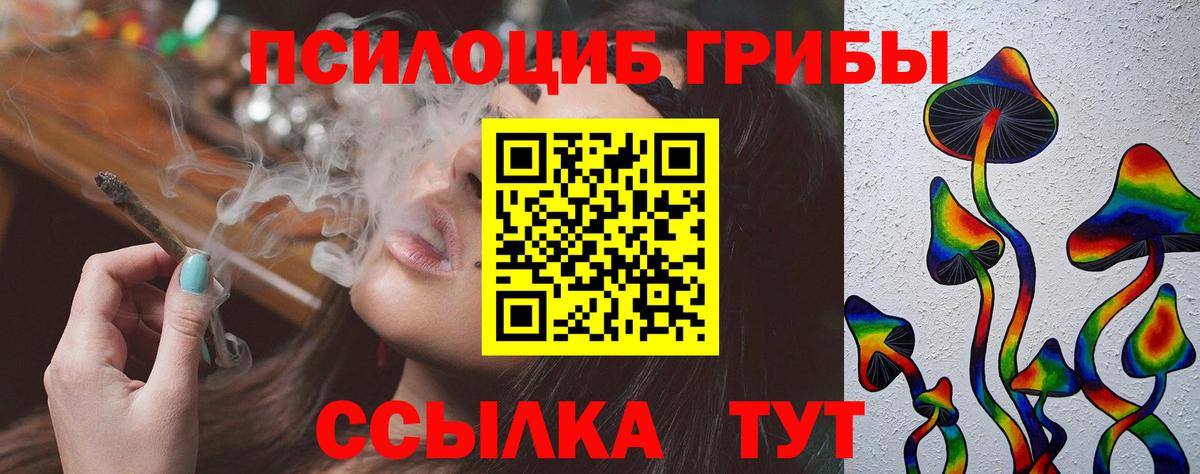 купить наркотики цена  Псилоцибиновые грибы мицелий  Вход с VPN  Сургут 